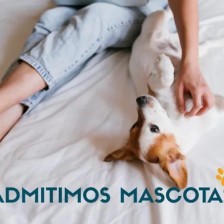 Apartamentos Bernat 3000 Апартаменты *